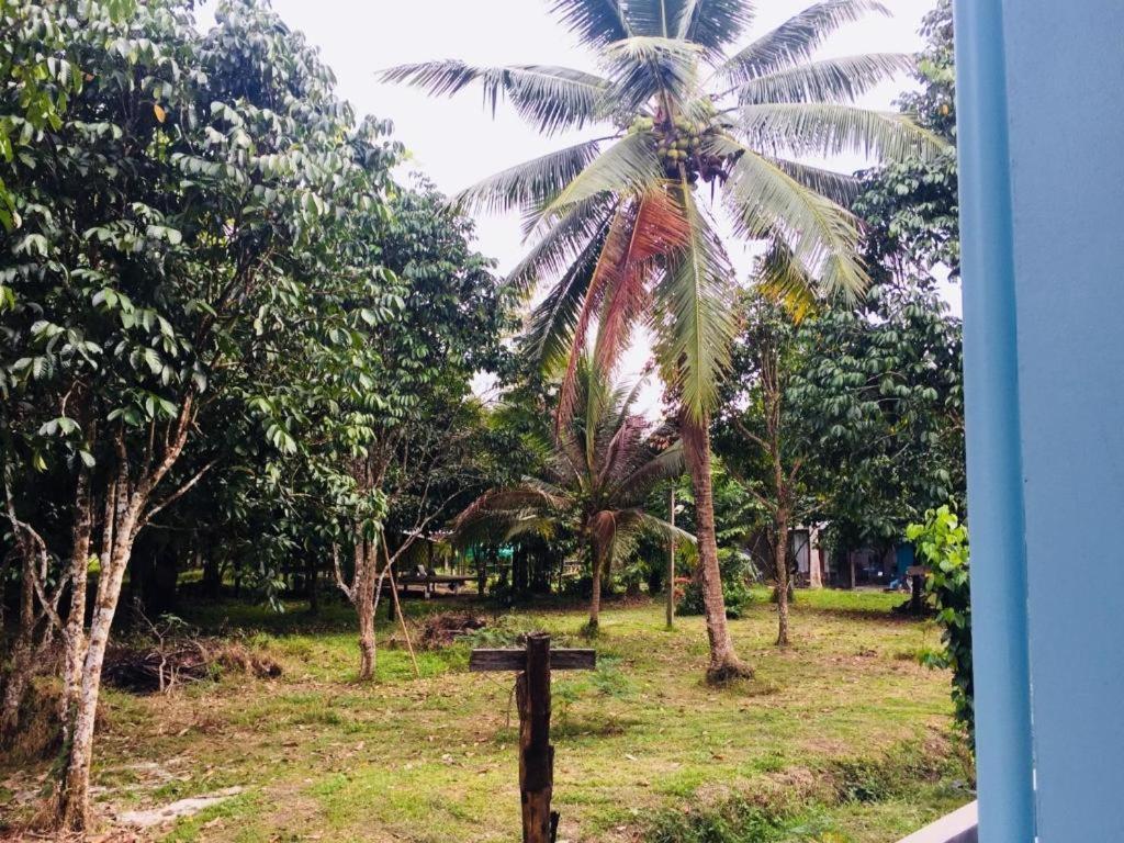 Ferienwohnung Baan Kalaya Garden Ban Mai Exterior foto